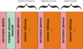 Save stream 2.png
